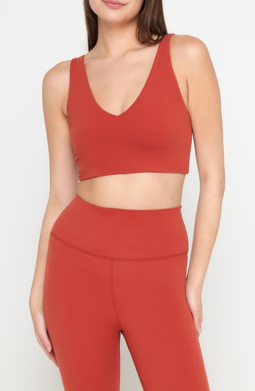 Shop Spiritual Gangster Harlow Crop Tank In Redstone