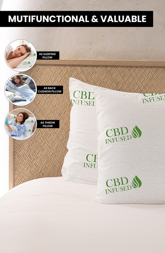 Luxury Home 2-pack Infused Memory Foam Pillows In Cbd