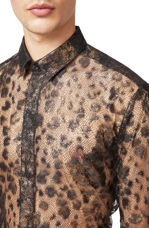 Shop Twisted Tailor Bettles Lace Button-up Shirt In Black Copper