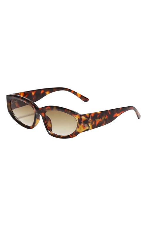Fifth & Ninth Shea 59mm Polarized Gradient Oval Sunglasses In Torte/brown