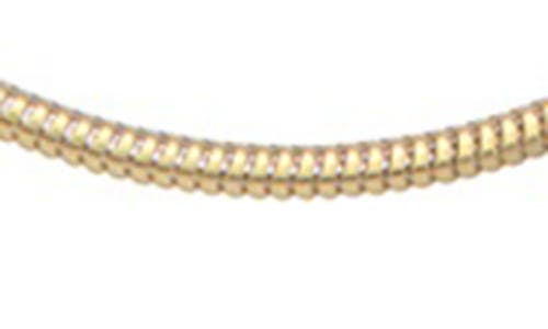 Fzn Snake Chain Necklace In Yellow