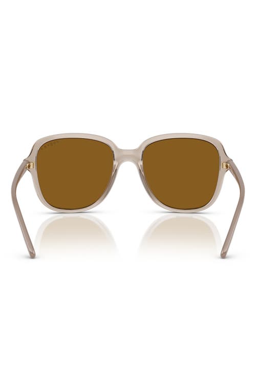 Vogue 53mm Polarized Square Sunglasses In Caramel Polarized