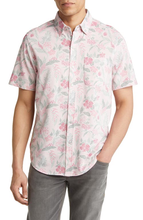 Tommy Bahama San Lucio Aqua Isles IslandZone Floral Stretch Short Sleeve Button-Up Shirt in Carmine Pink at Nordstrom, Size Xx-Large