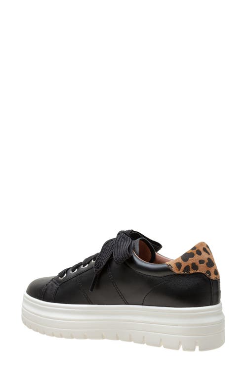 Shop Linea Paolo Jill Platform Sneaker In Black/cognac-black