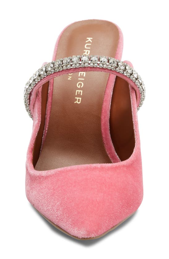 Kurt Geiger Duke Crystal Strap Pointed Toe Mule In Pink Velvet
