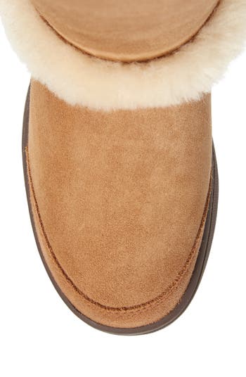 Ugg sunburst outlet tall chestnut