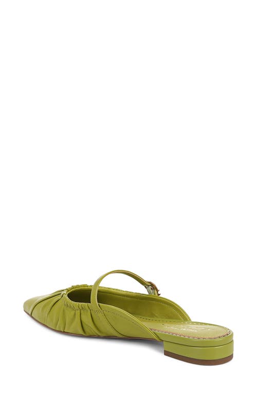 Shop Circus Ny By Sam Edelman Larissah Pointed Toe Mule In Cactus