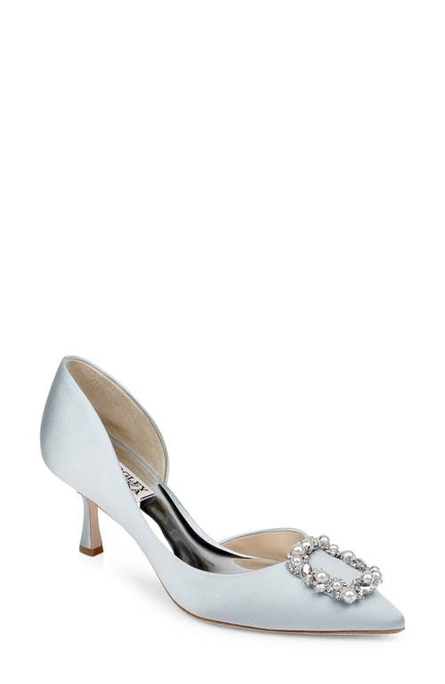 Fabia Embellished Pointed Toe Pump in Mist Blue