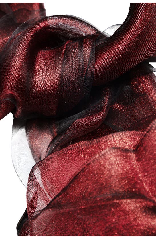 Shop Saachi Sheer Silk Scarf In Burgundy Combo
