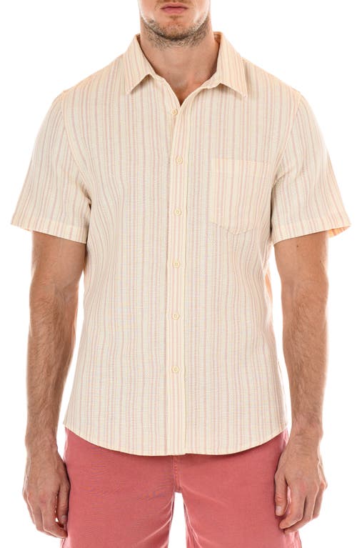 Original Paperbacks Perth Stripe Short Sleeve Button-Up Shirt Blushcream at Nordstrom,