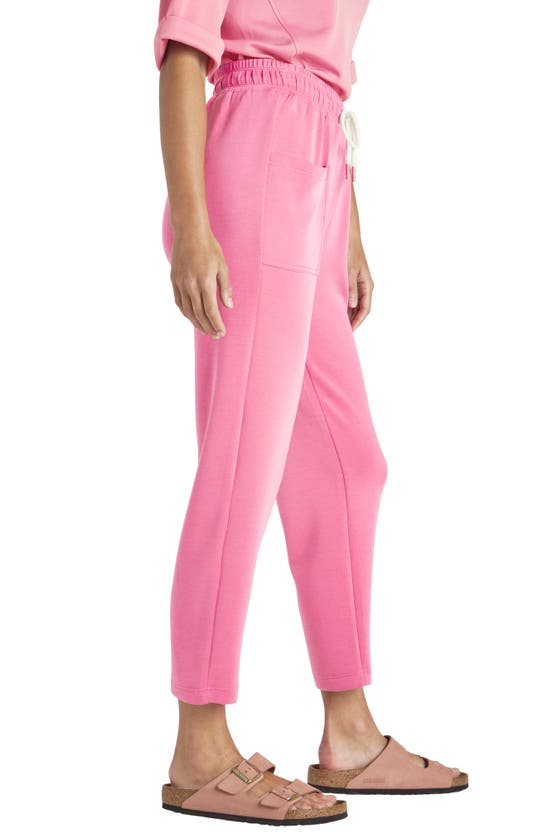 Shop Splendid Massie Scuba Sweatpants In Fiore