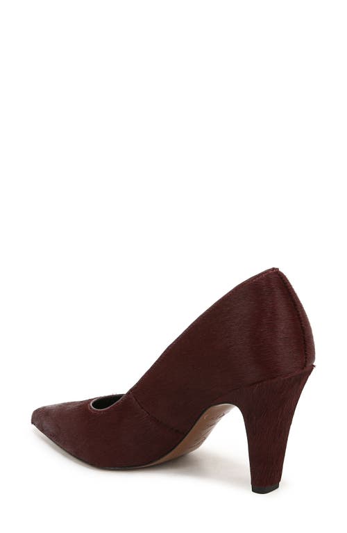 Shop Sarto By Franco Sarto Sage Pointed Toe Pump In Bordo