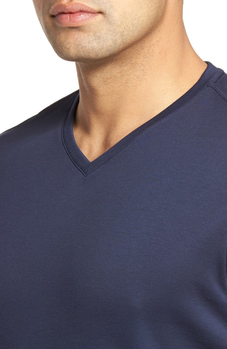 Robert Barakett Georgia Regular Fit V-Neck T-Shirt | Nordstrom