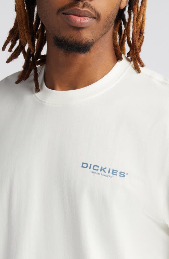 Shop Dickies Wakefield Cotton Graphic T-shirt In White Light Gray Group