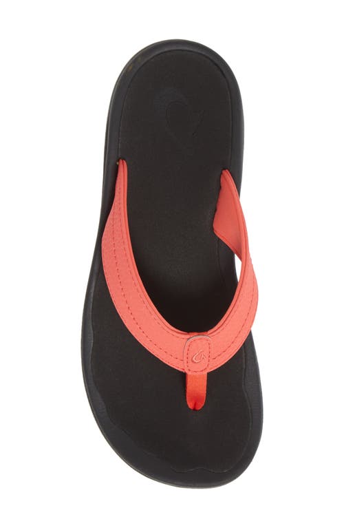 Shop Olukai Ohana Flip Flop In Hot Coral/black