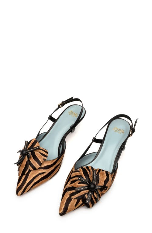 Frances Valentine Flower Genuine Calf Hair Kitten Heel Slingback Pump In Zebra Haircalf