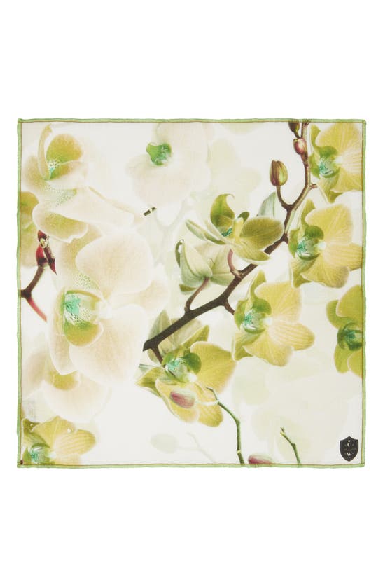 Shop Clifton Wilson Floral Linen Pocket Square In Olive