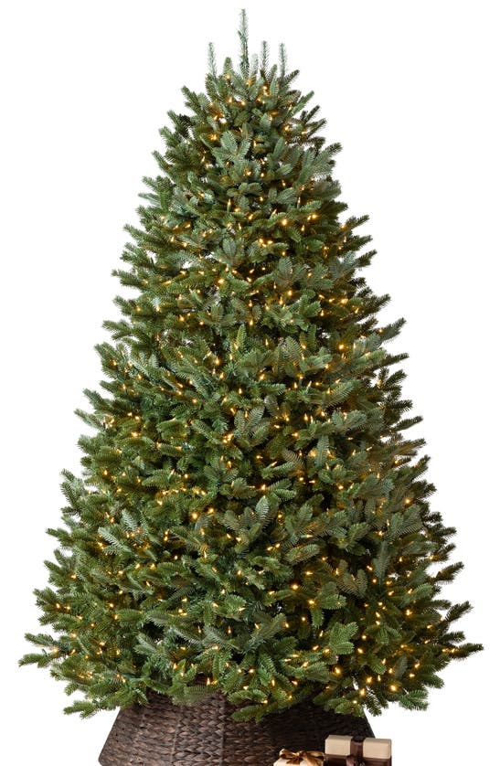 Balsam Hill Artificial Led Light Fraser Fir Tree In Led Clear