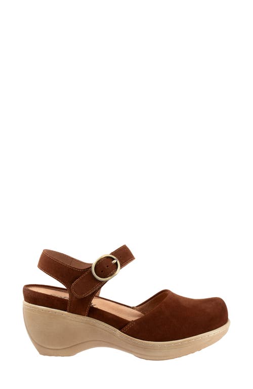 Shop Softwalk ® Mabelle Ankle Strap Platform Clog In Chestnut Suede