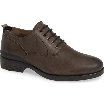 Fly London Mogi Plain Toe Derby, Brown