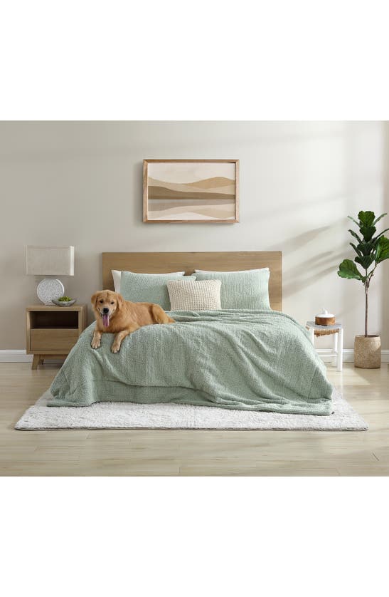 Sunday Citizen Snug Comforter In Sage