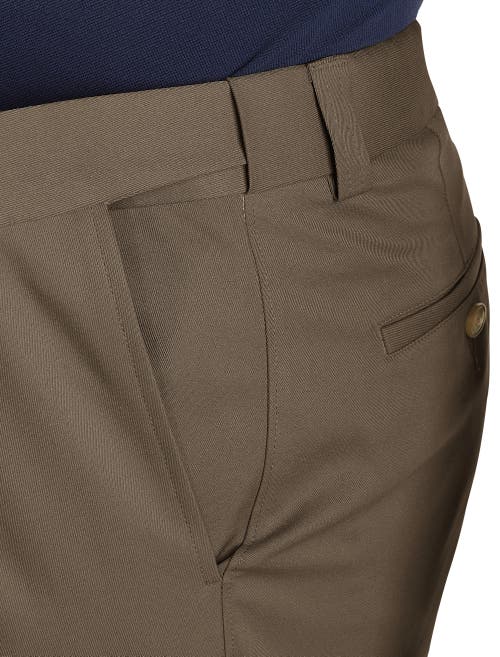 Oak Hill by DXL Waist-Relaxer Pleated Microfiber Pants Dark Taupe at Nordstrom, X