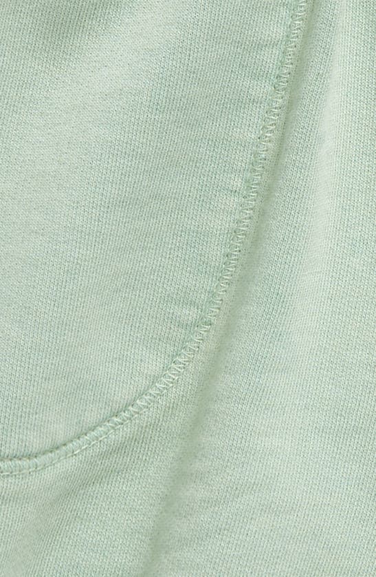 Shop Tucker + Tate Kids' Pull-on Jersey Shorts In Green Frozen