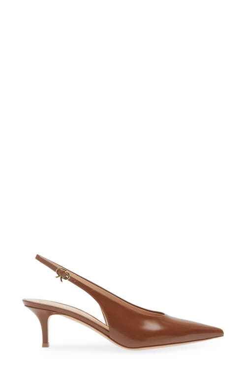 Shop Gianvito Rossi Tokio Pointed Toe Slingback Pump In Havana