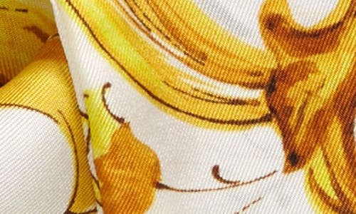 Dolce & Gabbana Dolce&gabbana Majolica Silk Skinny Scarf In Hg3oo Maiolica Fdo.giallo