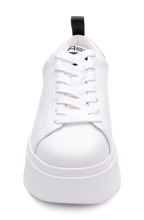 Shop Ash Maya Platform Sneaker In White/egg/black