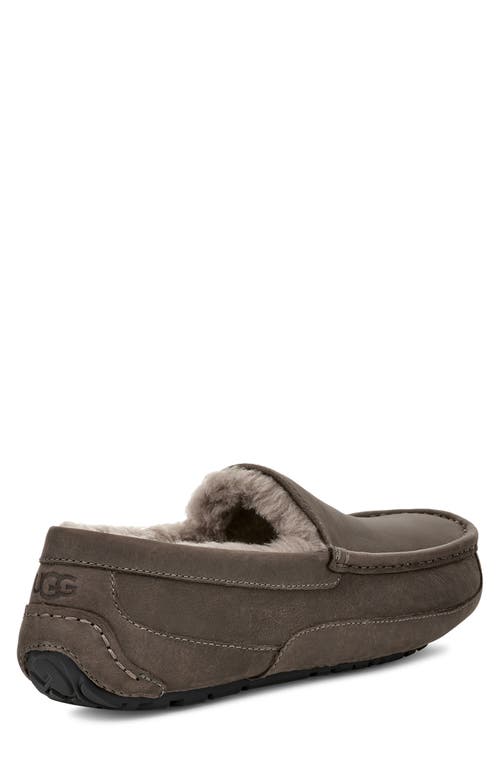 Shop Ugg(r) Ascot Slipper In Thunder Cloud