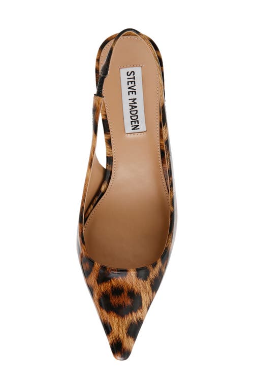 Shop Steve Madden Kari Pointed Toe Kitten Heel Slingback Pump In Leopard