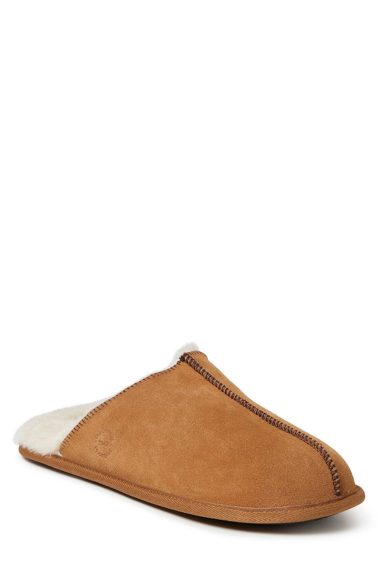 suede scuff slipper