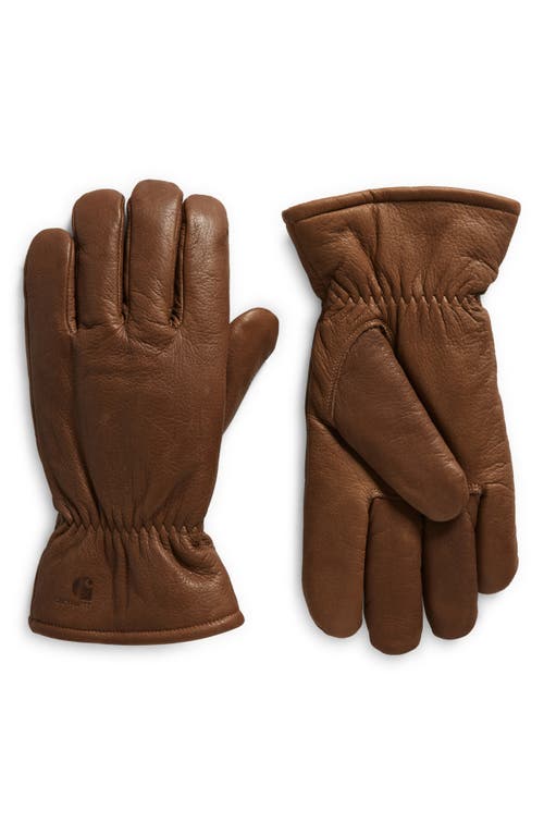 Fonda Leather Gloves in Hamilton Brown