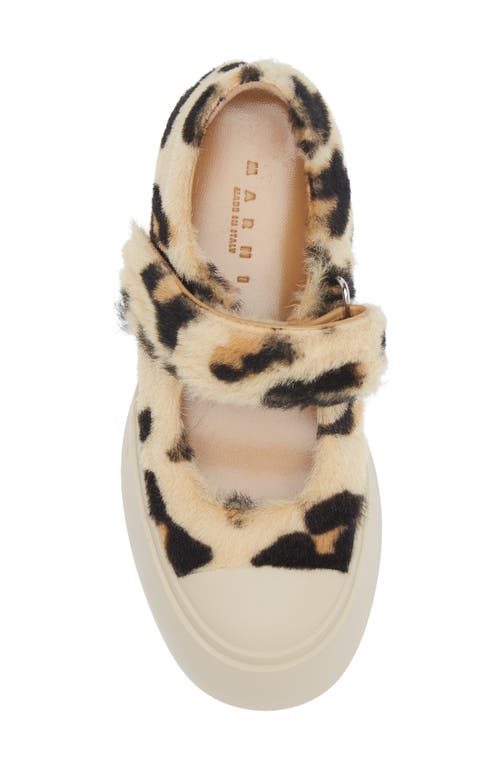 Shop Marni Pablo Leopard Print Genuine Shearling Mary Jane Sneaker In Light/brown