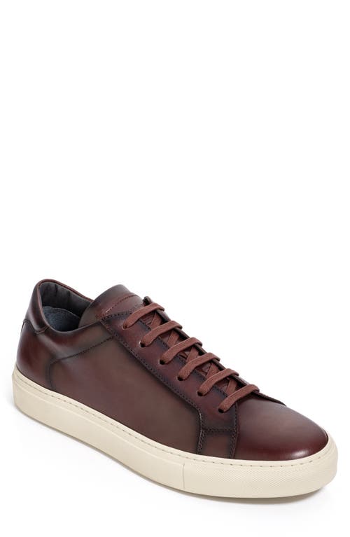 Shop To Boot New York Pescara Sneaker In Bordo