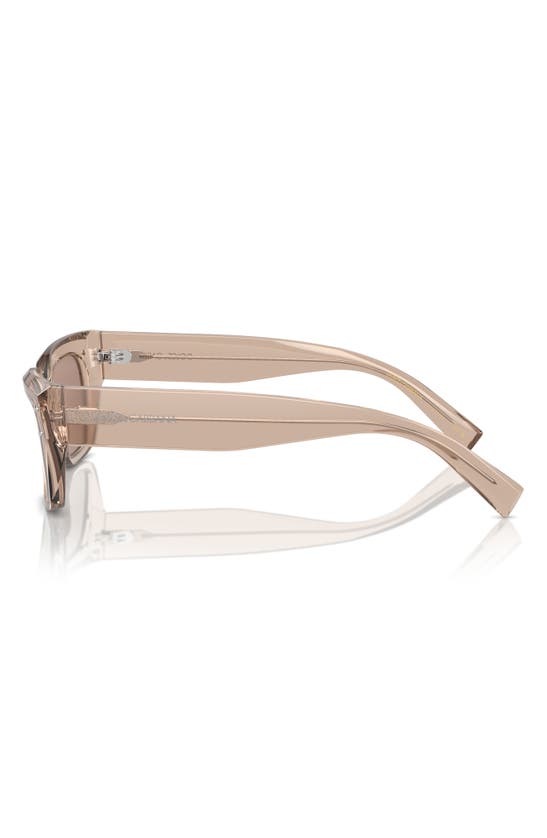 Shop Dolce & Gabbana 52mm Cat Eye Sunglasses In Camel