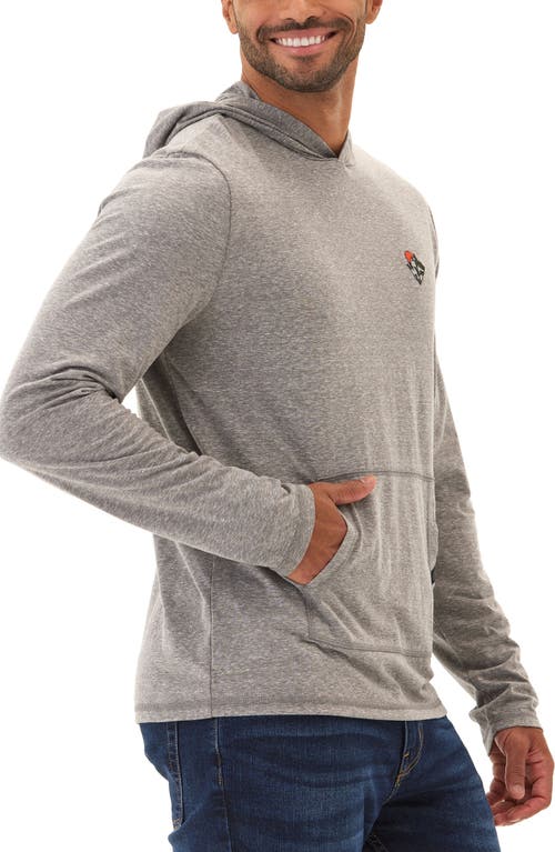 Shop Threads 4 Thought Sunset View Embroidered Hoodie In Heather Grey