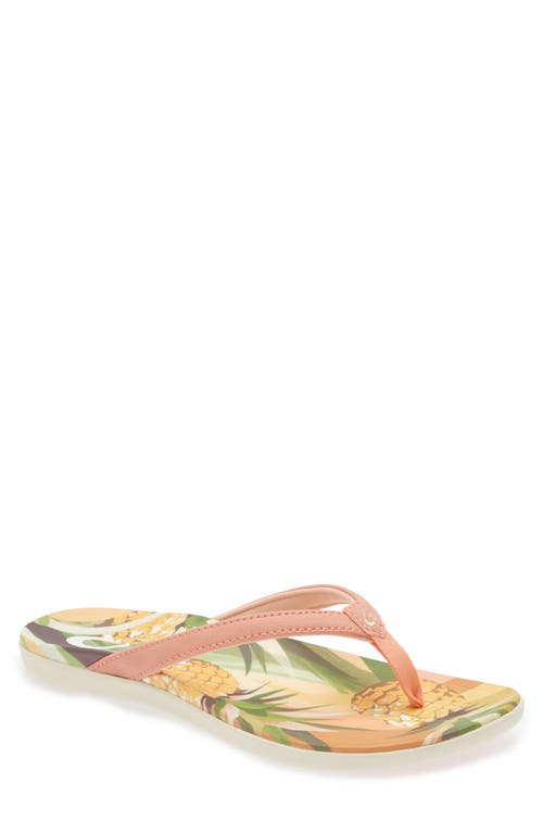 Shop Olukai Ho'opio Hau Flip Flop In Shell Coral/pineapple