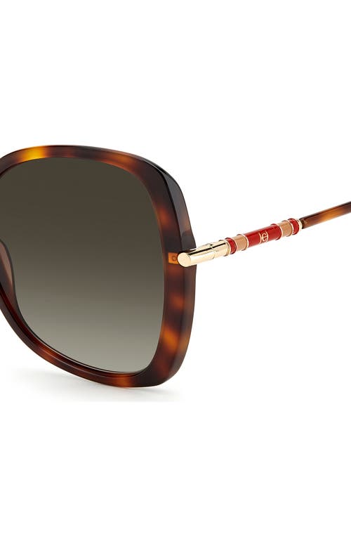 Shop Carolina Herrera 55mm Gradient Square Sunglasses In Havana/brown Gradient