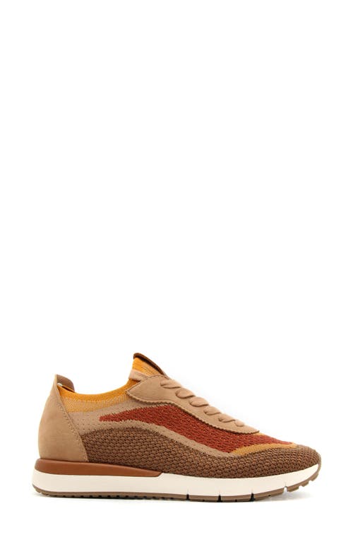 Shop Gentle Souls By Kenneth Cole Juno Knit Sneaker In Brown Multi Knit