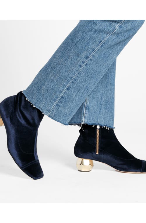 Frances Valentine Marni Bootie In Navy