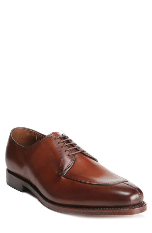 Allen Edmonds Delray Blucher Derby in Chili