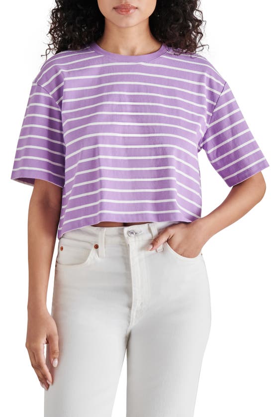 Steve Madden Rugby Stripe Cotton Crop T-shirt In Dahlia Purple