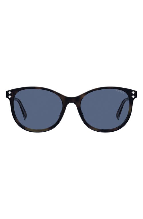 levi's 53mm Round Sunglasses in Havana 2/Blue
