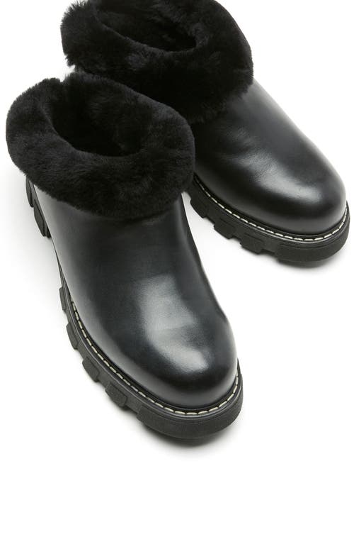 La Canadienne Always Waterproof Genuine Shearling Lined Clog In Black Leather