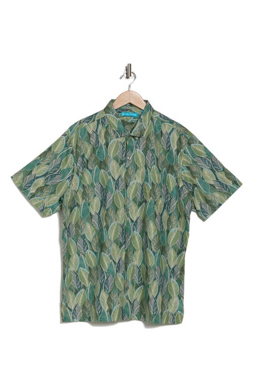 Shop Tori Richard Leaf A Little Short Sleeve Button-up Shirt In Island Green