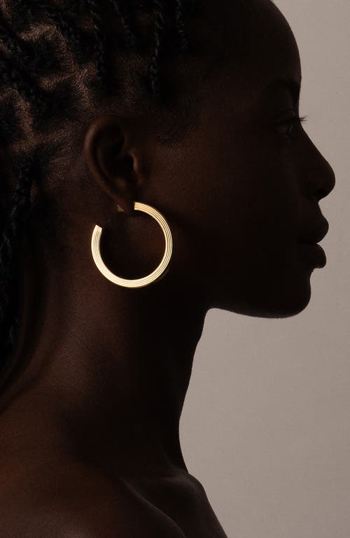 Shop Ivi Los Angeles Large Signora Hollow Hoop Earrings In Yellow Gold