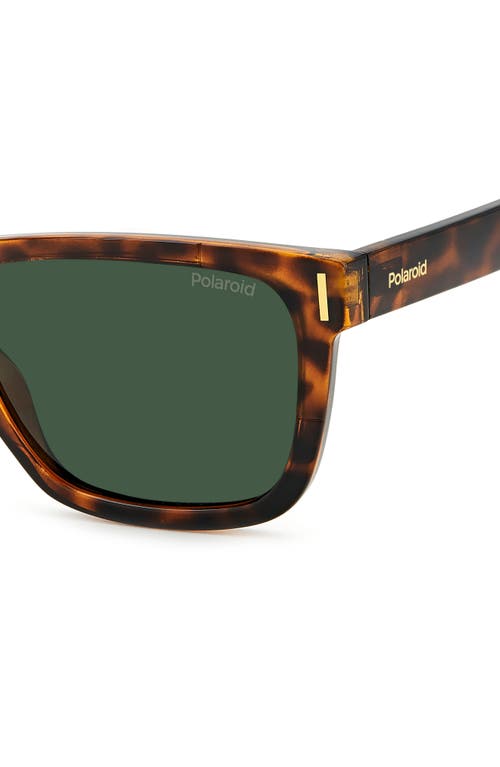 Polaroid 54mm Polarized Square Sunglasse In Havana/green Polar
