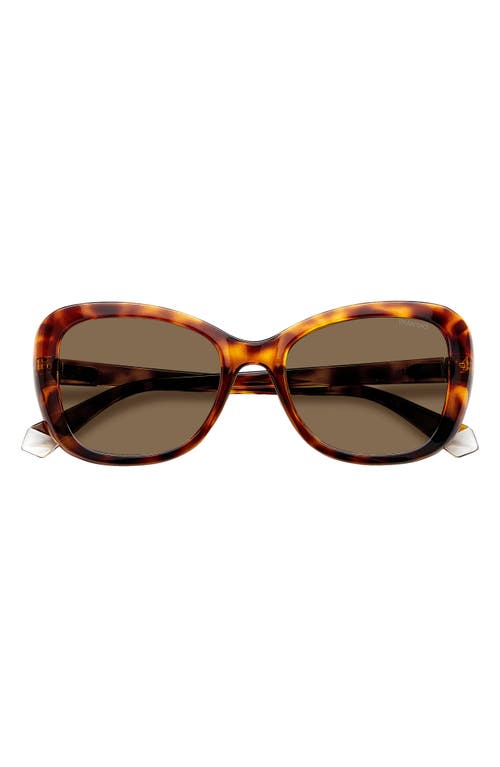 Shop Polaroid 53mm Polarized Cat Eye Sunglasses In Havana/bronze Polar